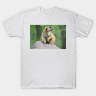 Meerkat T-Shirt